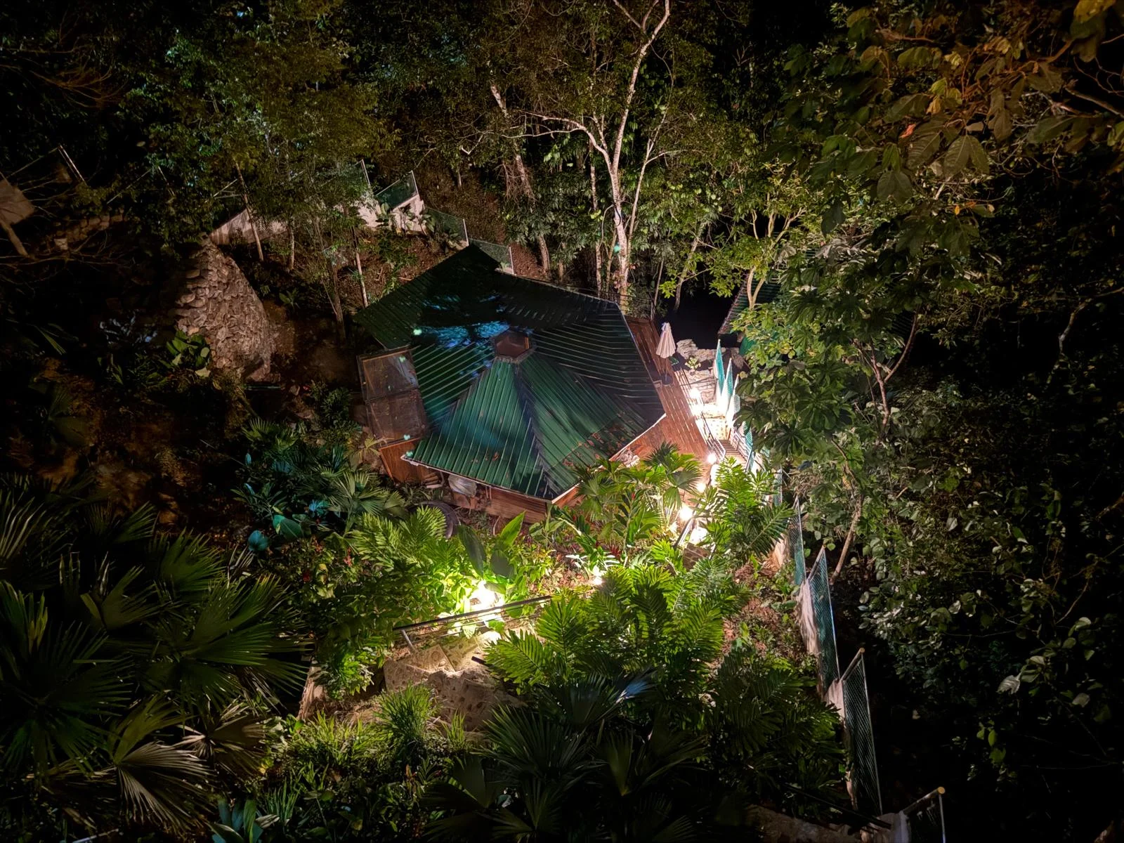 Rainforest